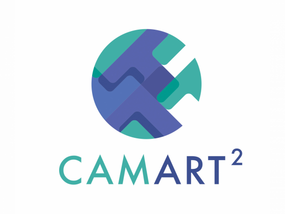 PROGRESS OF CAMART²: FIRST PHASE